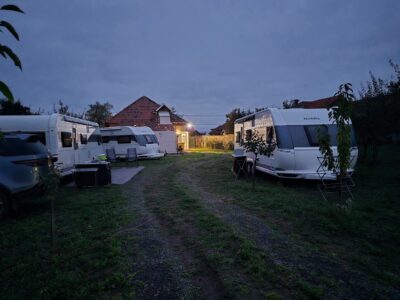 1 Veverita Buzias low